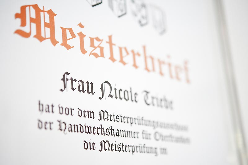 Meisterbrief der bayerischen Staatsregierung